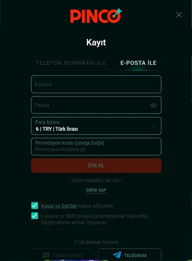 Pinco kayıt formu - e-posta ile üyelik oluşturma